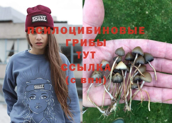 мяу мяу мука Горнозаводск
