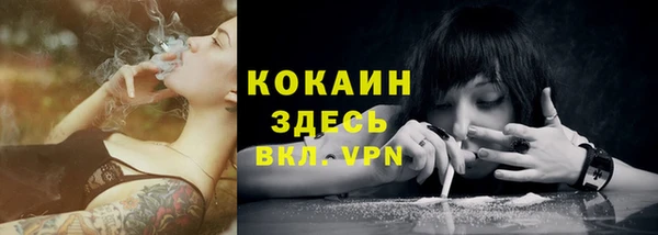 мдпв Горняк