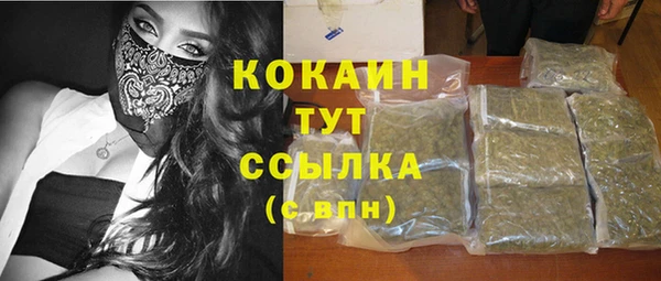 мдпв Горняк