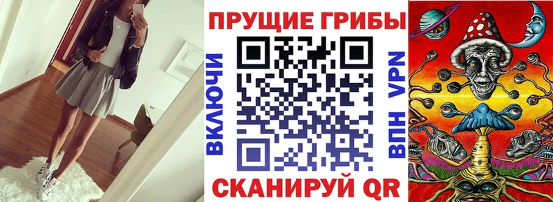 Купить  Балабаново  Псилоцибиновые грибы Psilocybe 