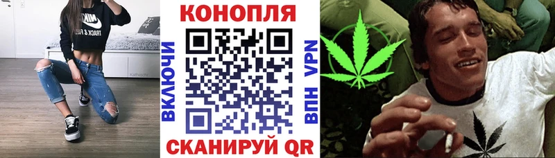 Конопля марихуана Балабаново